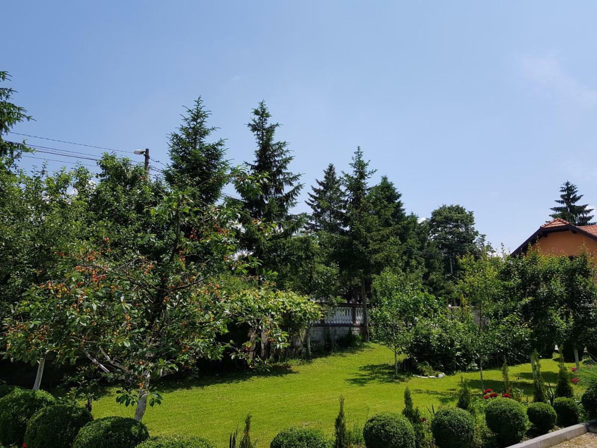 Apartment Paradise Enver Dubrave Gornje Εξωτερικό φωτογραφία